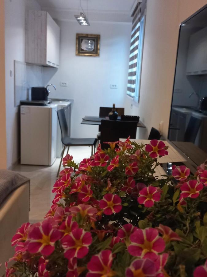 Apartments Stankovic & Boat Tours Вірпазар Екстер'єр фото